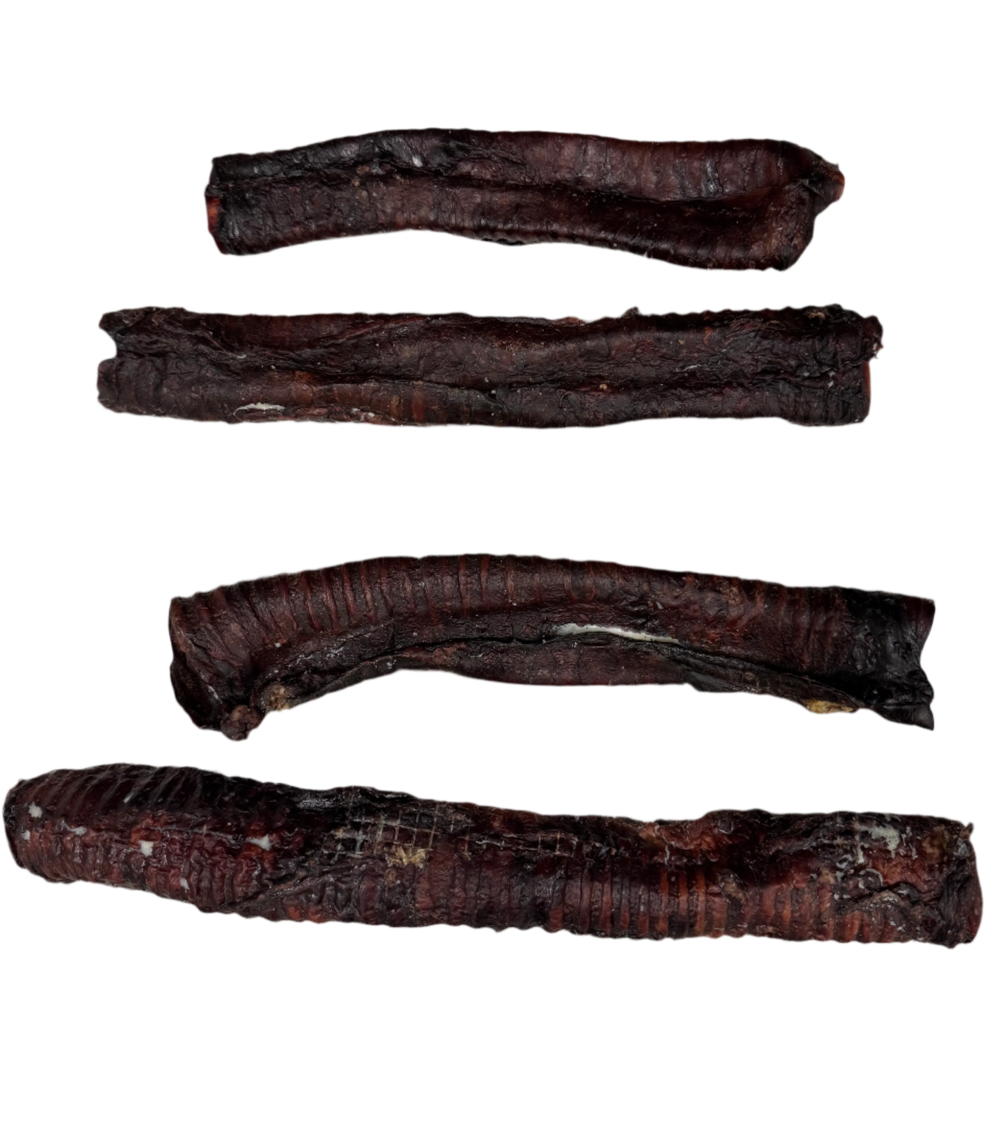 MEGA Moo Tube (Beef Trachea) - Tags & Home