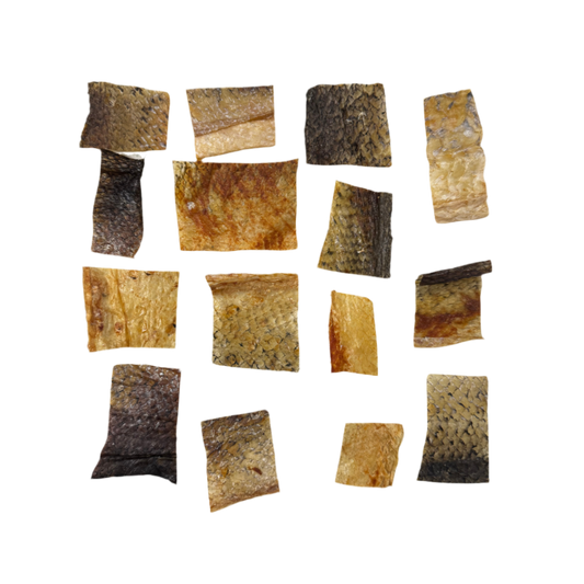 Salmon skin chips, dried salmon skin, great for cats and dogs enrichment bowls, and as treat. High in omega 3s, great for skin and coat.